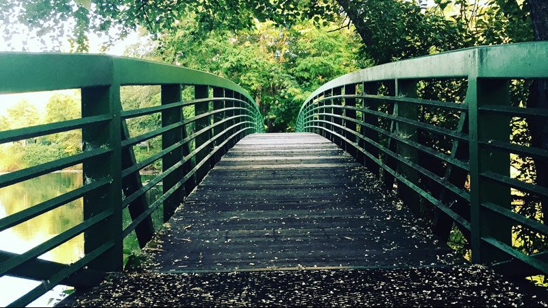 Bridge over a lake